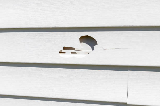 Custom Trim and Detailing for Siding in Oswego, IL