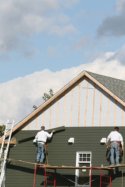 Best Insulated Siding Installation  in Oswego, IL