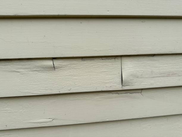 Best Custom Trim and Detailing for Siding  in Oswego, IL